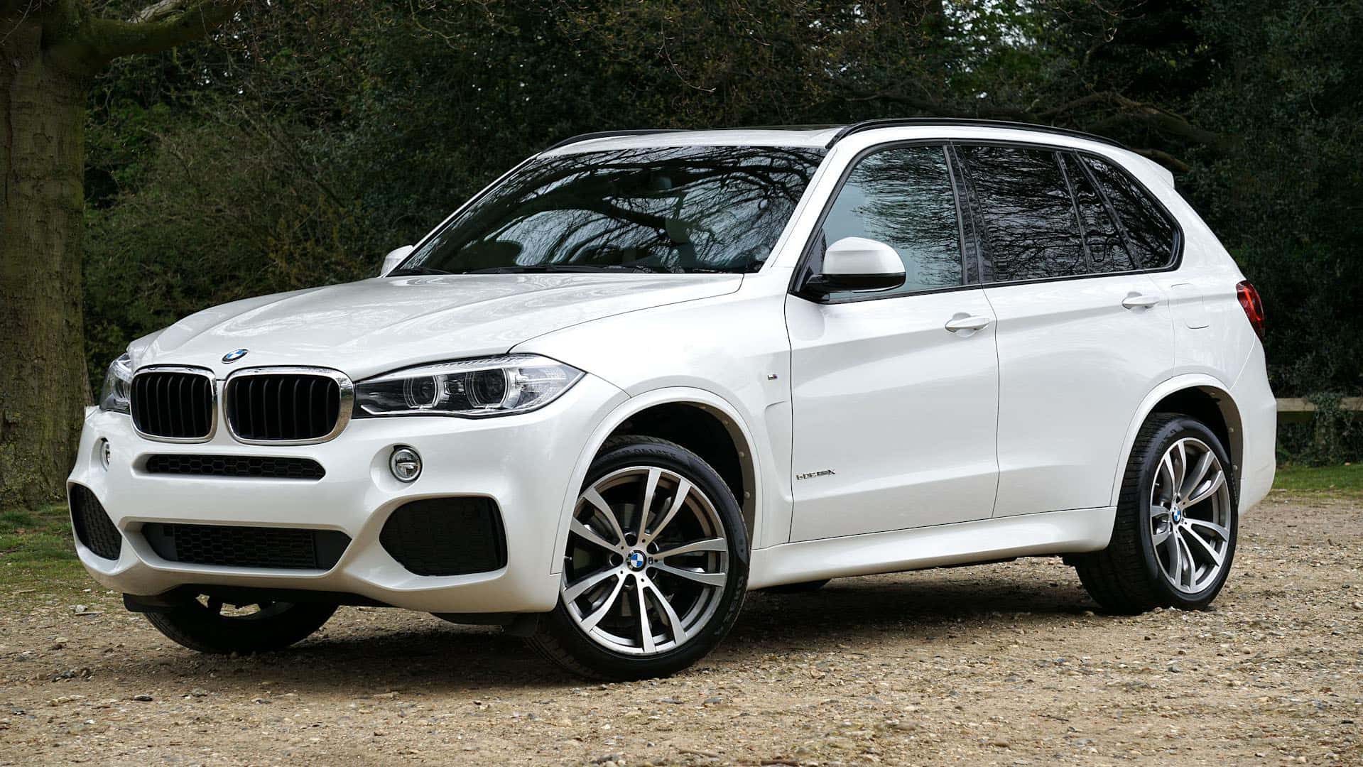 white bmw x5 luxury suv
