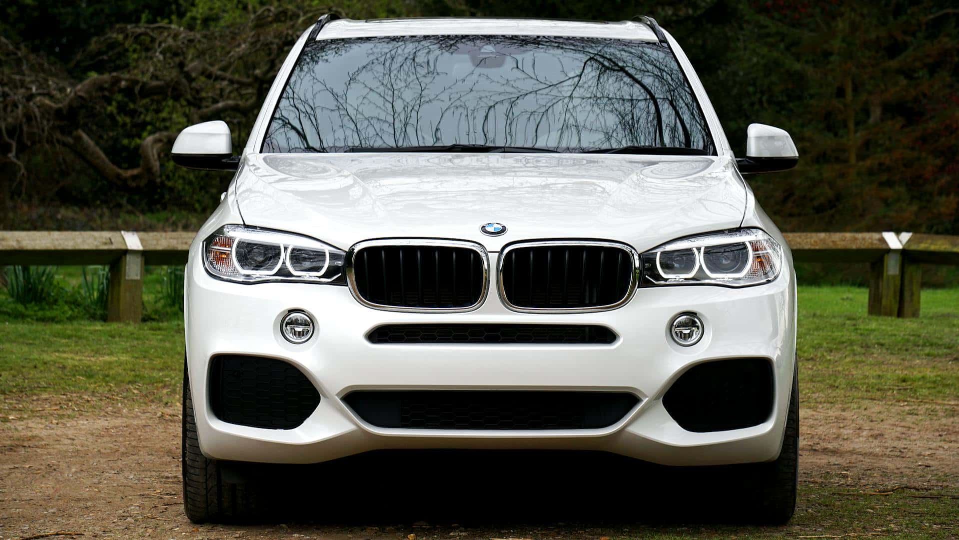 front view of white bmw x5 suv